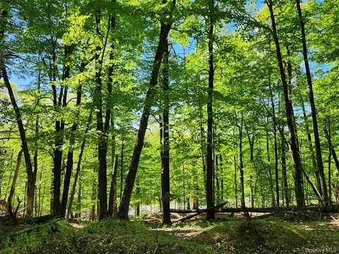 tbd Upper Samsonville Rd, Olive, NY 12461 photo 6