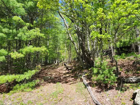 tbd Upper Samsonville Rd, Olive, NY 12461 photo 17