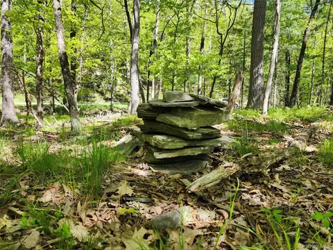 tbd Upper Samsonville Rd, Olive, NY 12461 photo 14