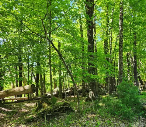 tbd Upper Samsonville Rd, Olive, NY 12461 photo 10