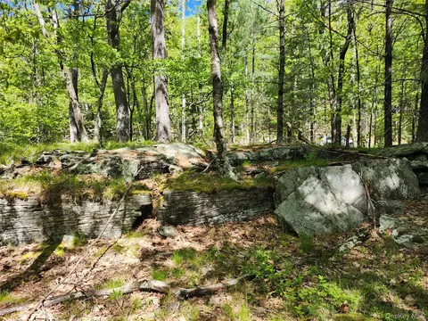 tbd Upper Samsonville Rd, Olive, NY 12461 photo 13
