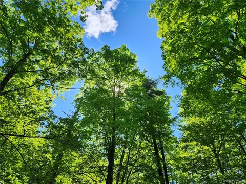 tbd Upper Samsonville Rd, Olive, NY 12461