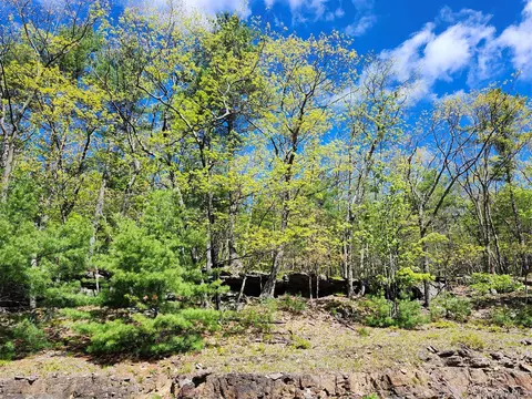 tbd Upper Samsonville Rd, Olive, NY 12461 photo 20