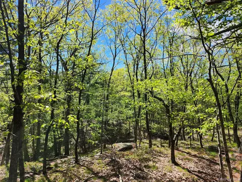 tbd Upper Samsonville Rd, Olive, NY 12461 photo 11
