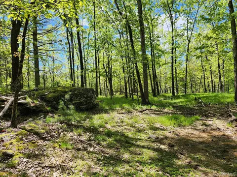 tbd Upper Samsonville Rd, Olive, NY 12461 photo 16