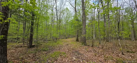 lot23 21 State Route 97, Tusten, NY 12764