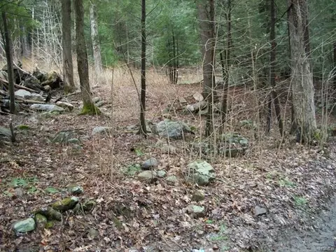 284 Guymard Tpke, Deerpark, NY 12729 photo 1