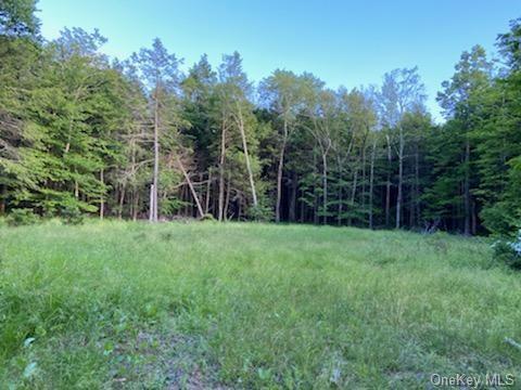 81 Moore Road, Fallsburg, NY 12733