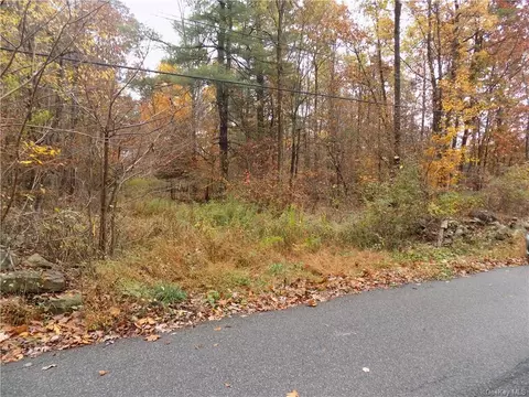 68 Decker Rd, Plattekill, NY 12589 photo 1