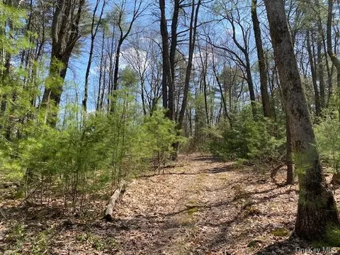 lot Apt 36 Leers Rd, Lumberland, NY 12737