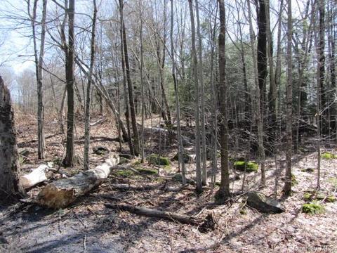 Cooley Mountain Road, Liberty, NY 12768