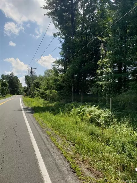 268 Cold Spring Rd, Thompson, NY 12701 photo 1