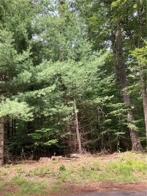 Camp Kennybrook Road, Thompson, NY 12701