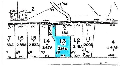 Wurtsboro Mountain Road, Mamakating, NY 12790