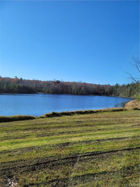 Pine Lake Drive, Mamakating, NY 12790