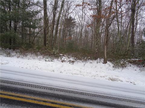 Wolf Lake Road, Thompson, NY 12775