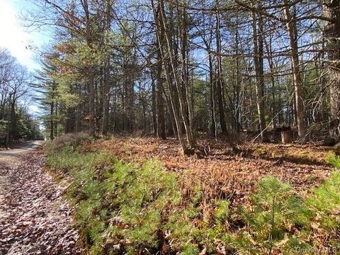 56 Ozeriany Road, Lumberland, NY 12737