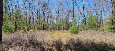 lot3 Crystal Lake Rd, Bethel, NY 12720