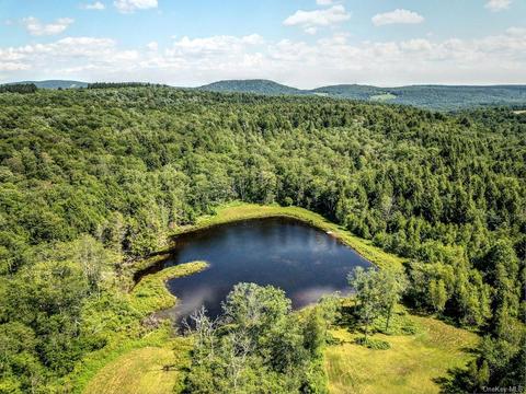 00 Terwilliger Rd, Rockland, NY 12758