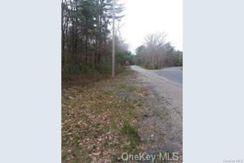 Forestburgh Road, Lumberland, NY 12737