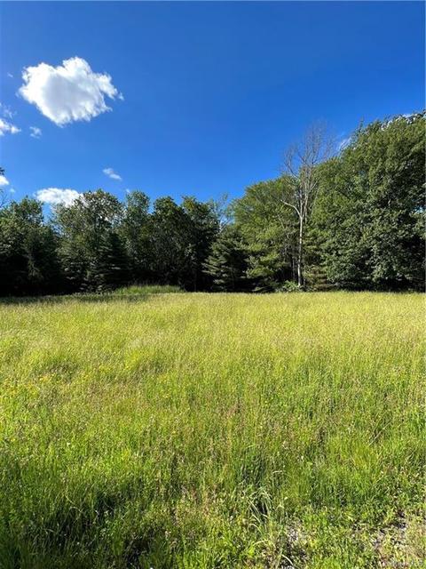 Route 42, Forestburgh, NY 12777