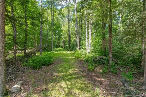 N/s French Clearing Road, Forestburgh, NY 12777