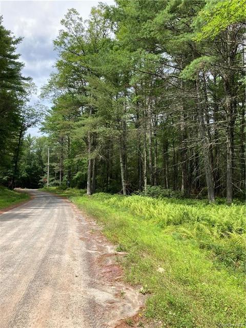 288 Trout Pond Road, Tusten, NY 12764