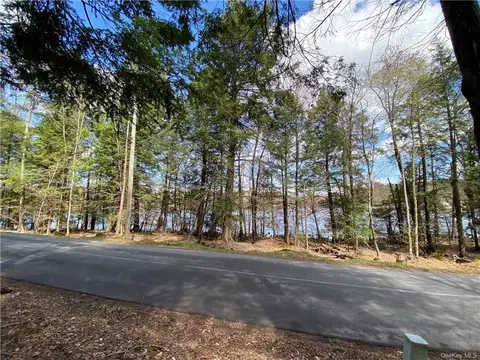 Lakeshore Drive, Bethel, NY 12778