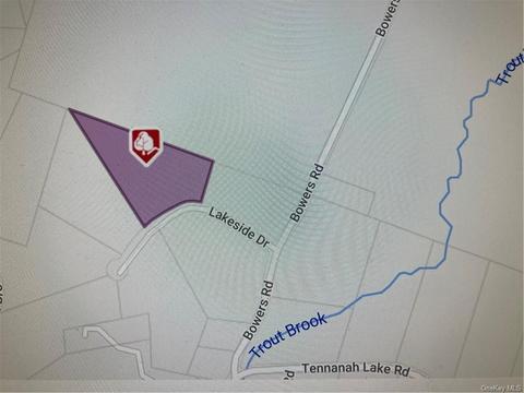 Lakeside Wood Road, Fremont, NY 12736