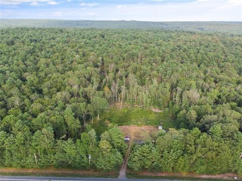 1422 State Route 42, Forestburgh, NY 12777