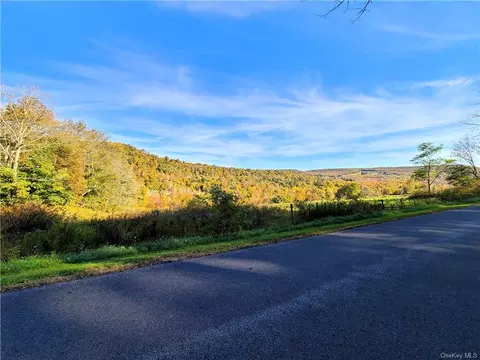 Keller Road, Callicoon, NY 12724