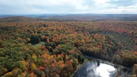 Mount Vernon Road, Mamakating, NY 12790