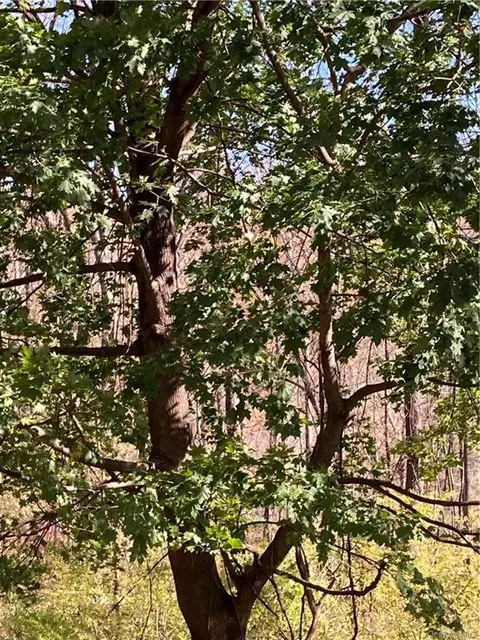 Phillipsport Road, Mamakating, NY 12790
