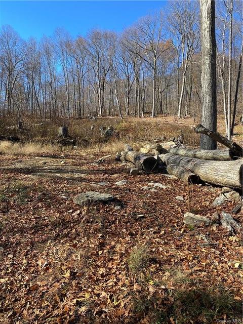 404 Grape Hollow Rd, East Fishkill, NY 12531