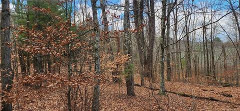 Hilltop Road, Thompson, NY 12701