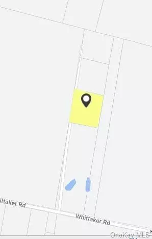 Whittaker Road, Thompson, NY 12701