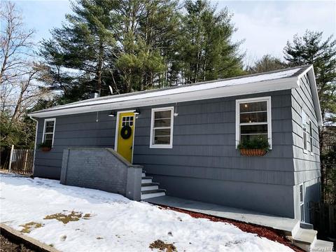 24 Andrew Paye Rd, Lumberland, NY 12770