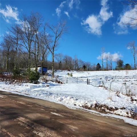 Anderson Road, Rockland, NY 12768