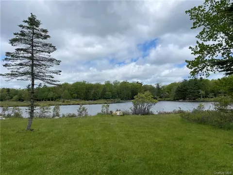 Surrey Street, Thompson, NY 12775