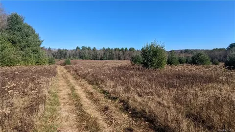 76 Mitteer Road, Fallsburg, NY 12747