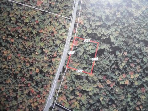 Revonah Road, Liberty, NY 12754