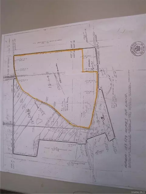 Revonah Hill Road, Liberty, NY 12754