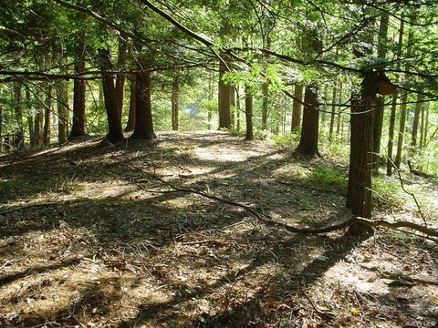 1 Lake Ridge Rd, Tusten, NY 12764