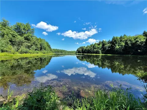 Lot 19.1 Beaver Lake Road, Rockland, NY 12758