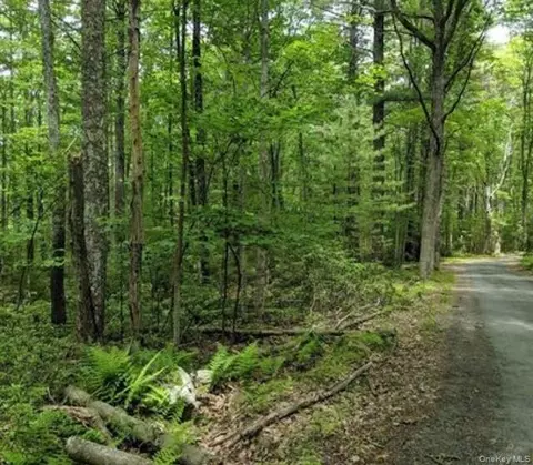 01 Allen Rd, Mamakating, NY 12790