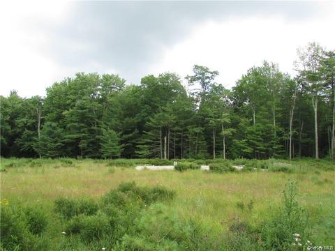 County Route 56, Mamakating, NY 12790