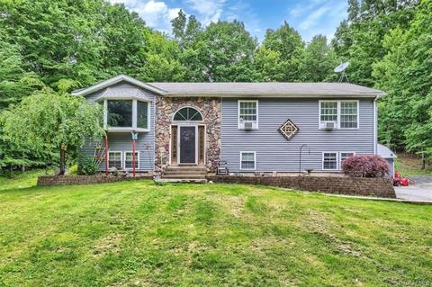 27 Lewis Ln, Mamakating, NY 12721