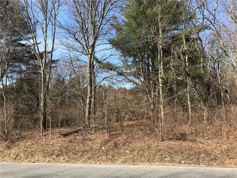 Holmes Road, Thompson, NY 12701