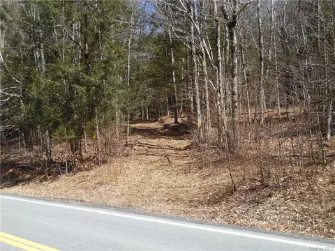 Gulf Road, Callicoon, NY 12724