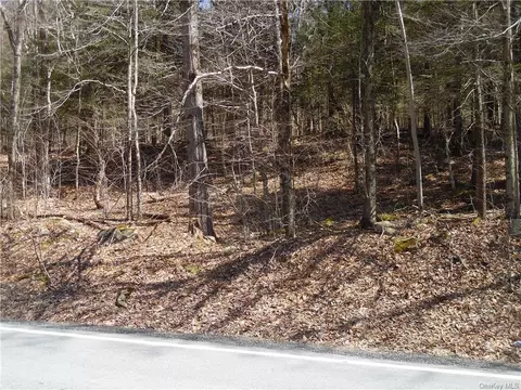 Gulf Road, Callicoon, NY 12724